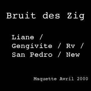 Bruit Des Zig - Maquette Avril 2000